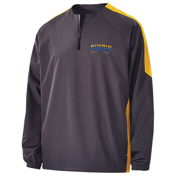 Bionic 1/4 Zip Pullover Thumbnail